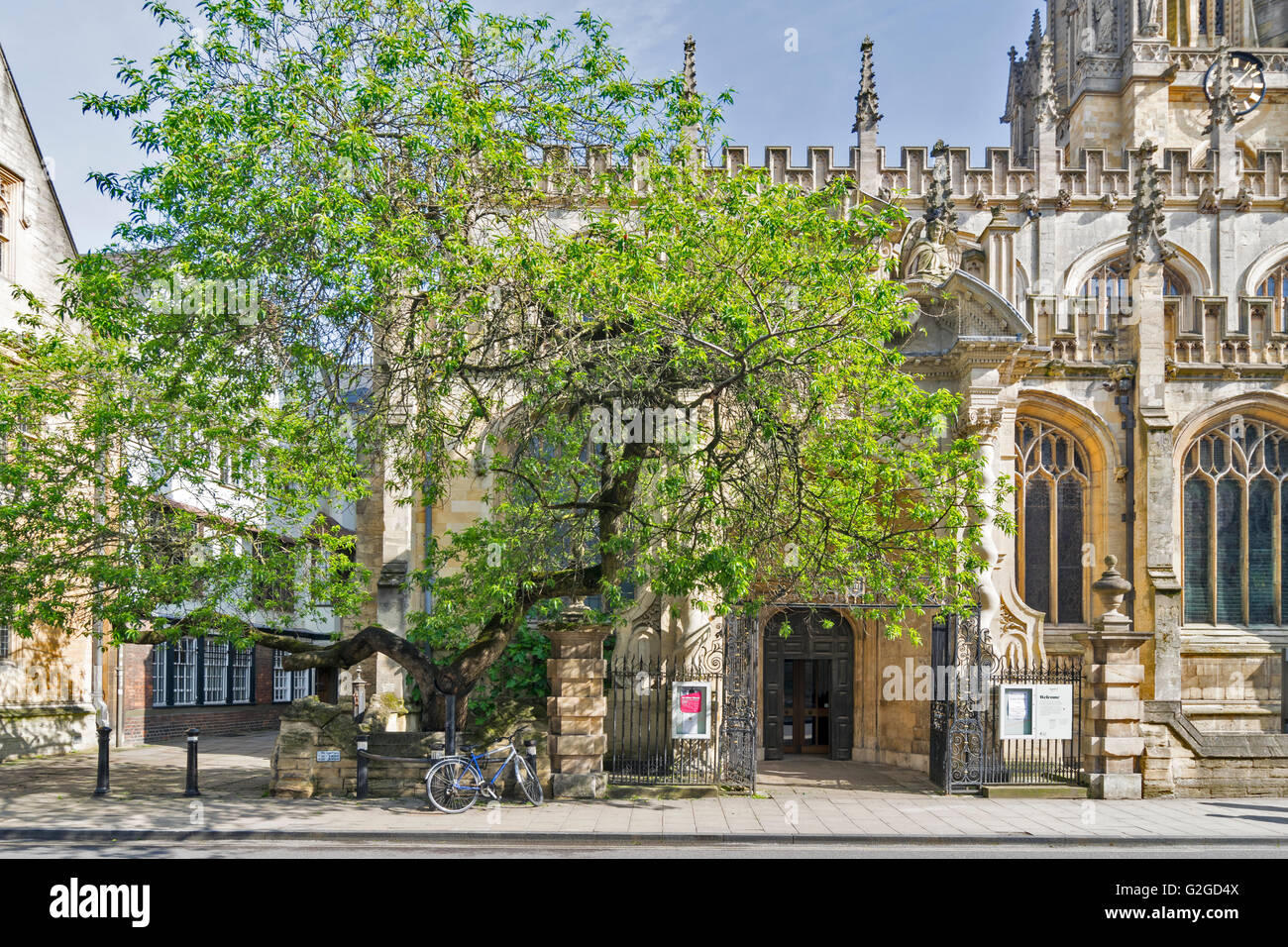 OXFORD HIGH STREET ST MARY THE VIRGIN CHURCH AND TREE WITH ST MARYS