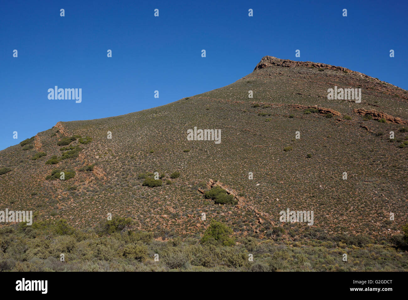 Boland landscape, Western Cape Province, South Africa. Stock Photo