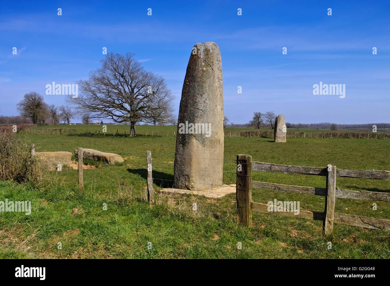 Alignement von Couches in Frankreich - Menhirs d Epoigny in France near Couches Stock Photo