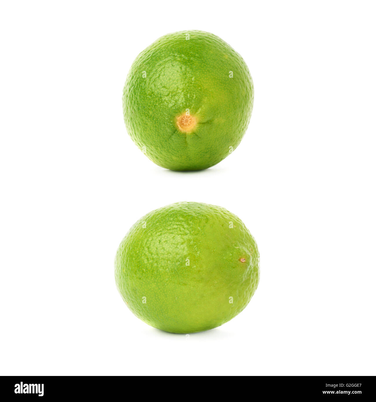 Set of two single limes in different compositions and foreshortenings