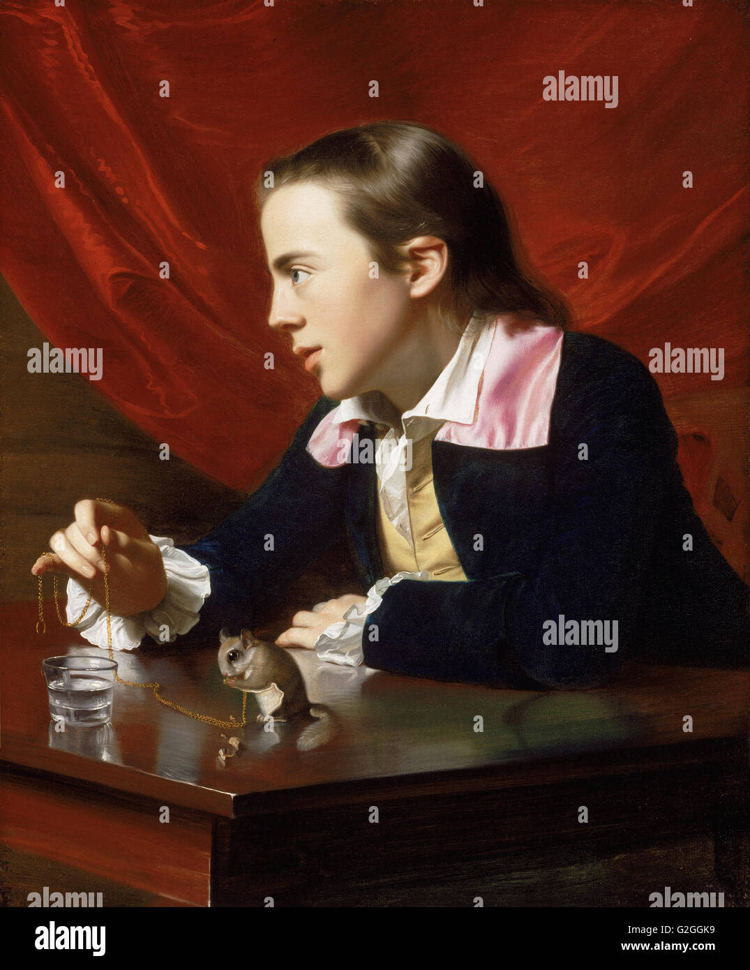 John Singleton Copley - A Boy with a Flying Squirrel (Henry Pelham) - Museum of Fine Arts, Boston Stock Photo