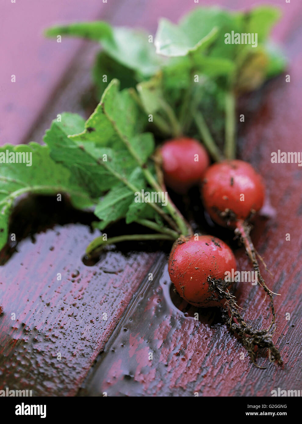 Table Raddish Radishes on Table Stock Photo - Alamy