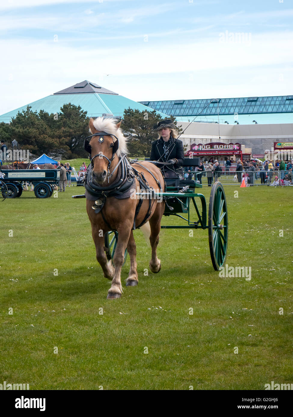 Heavy horses pulling carriage hires stock photography and images Alamy