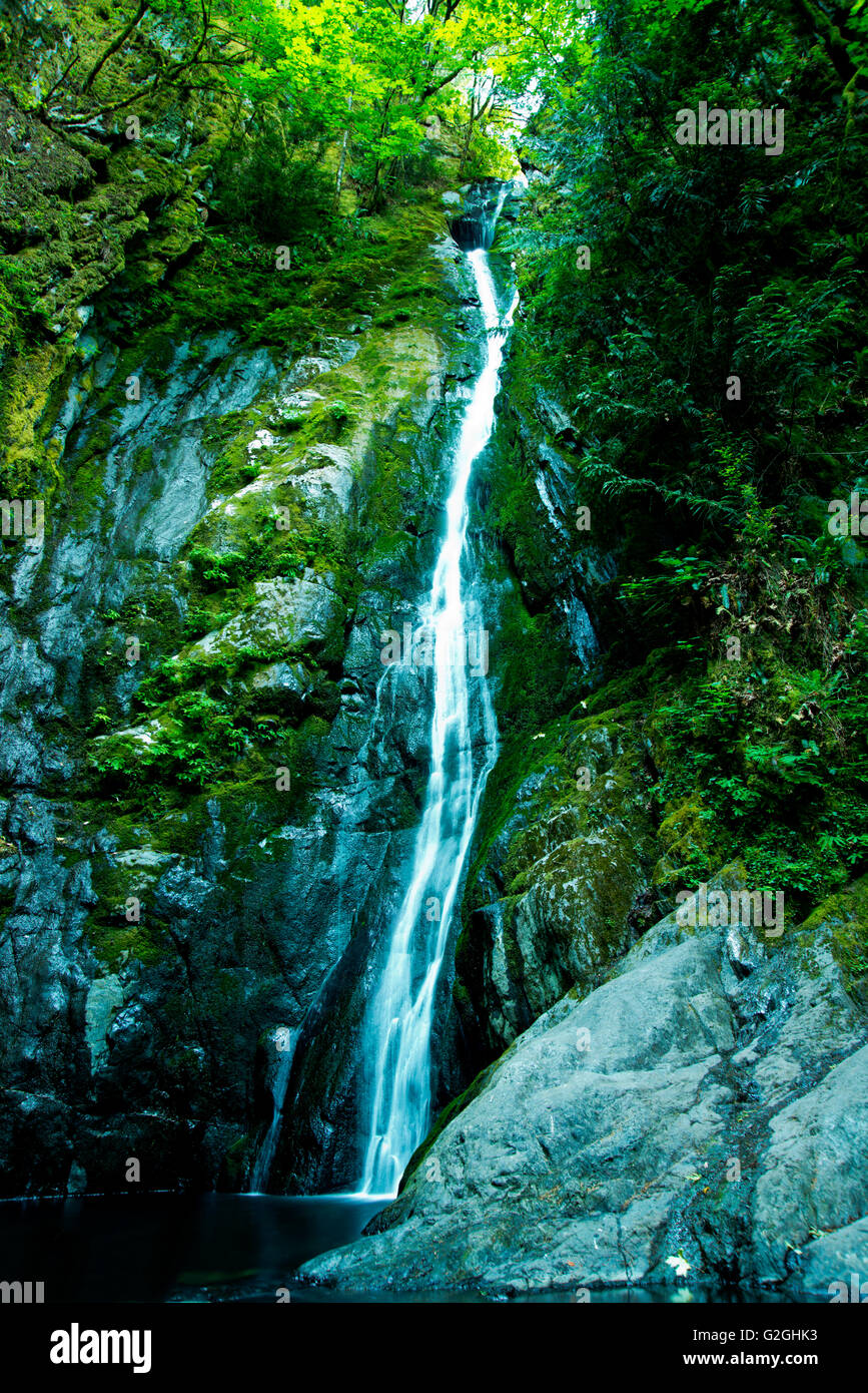 Niagara waterfalls in Goldstrem park,Victoria,Canada 2 Stock Photo