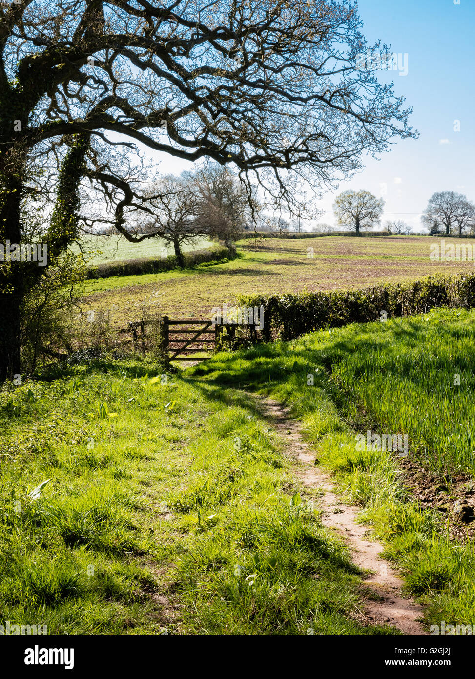 English country scene with footpath and gated stile through a field hedge in Gloucestershire UK Stock Photo
