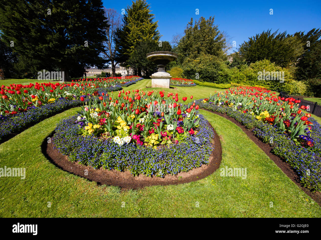 Municipal gardens with flower beds of tulips and annual bedding plants near Royal Crescent in Bath Somerset UK Stock Photo