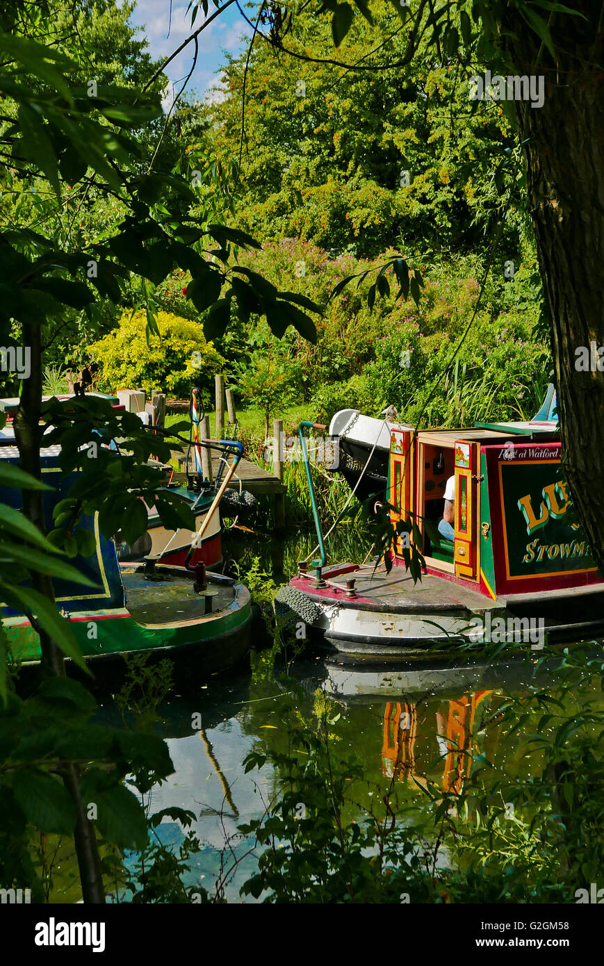 Decorated barges on the river Stort with overhanging trees
