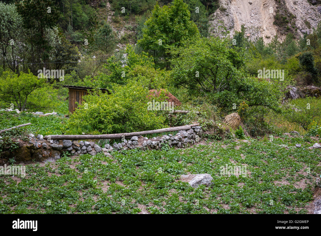 Views on the track to the Everest Base Camp Stock Photo Alamy