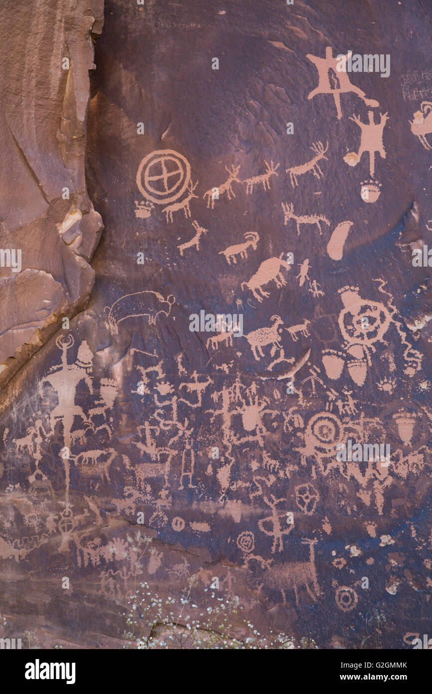 Newspaper Rock Petroglyph, Etched in the rock from approximate 700 BC thru 1300 AD, South of Moab, Utah, USA Stock Photo