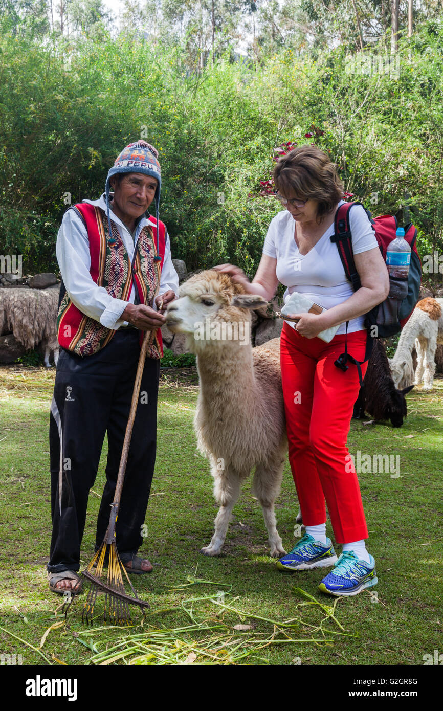 Shepherd and female tourist with an Alpaca in the Sacred Valley of the Incas, Peru Stock Photo