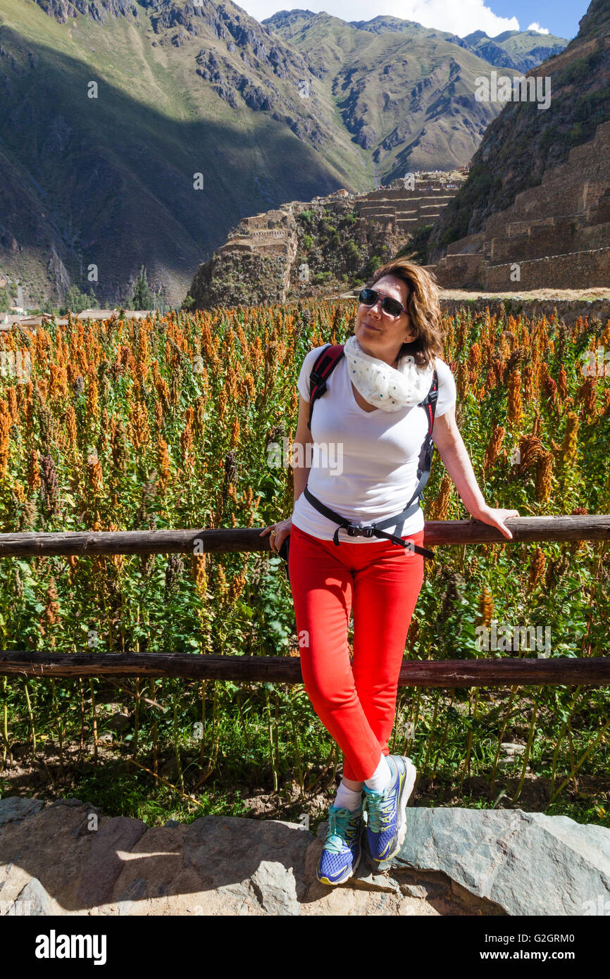Woman posing by a terrace of planted Quinoa at the Incan ruins of Ollantaytambo, Peru Stock Photo