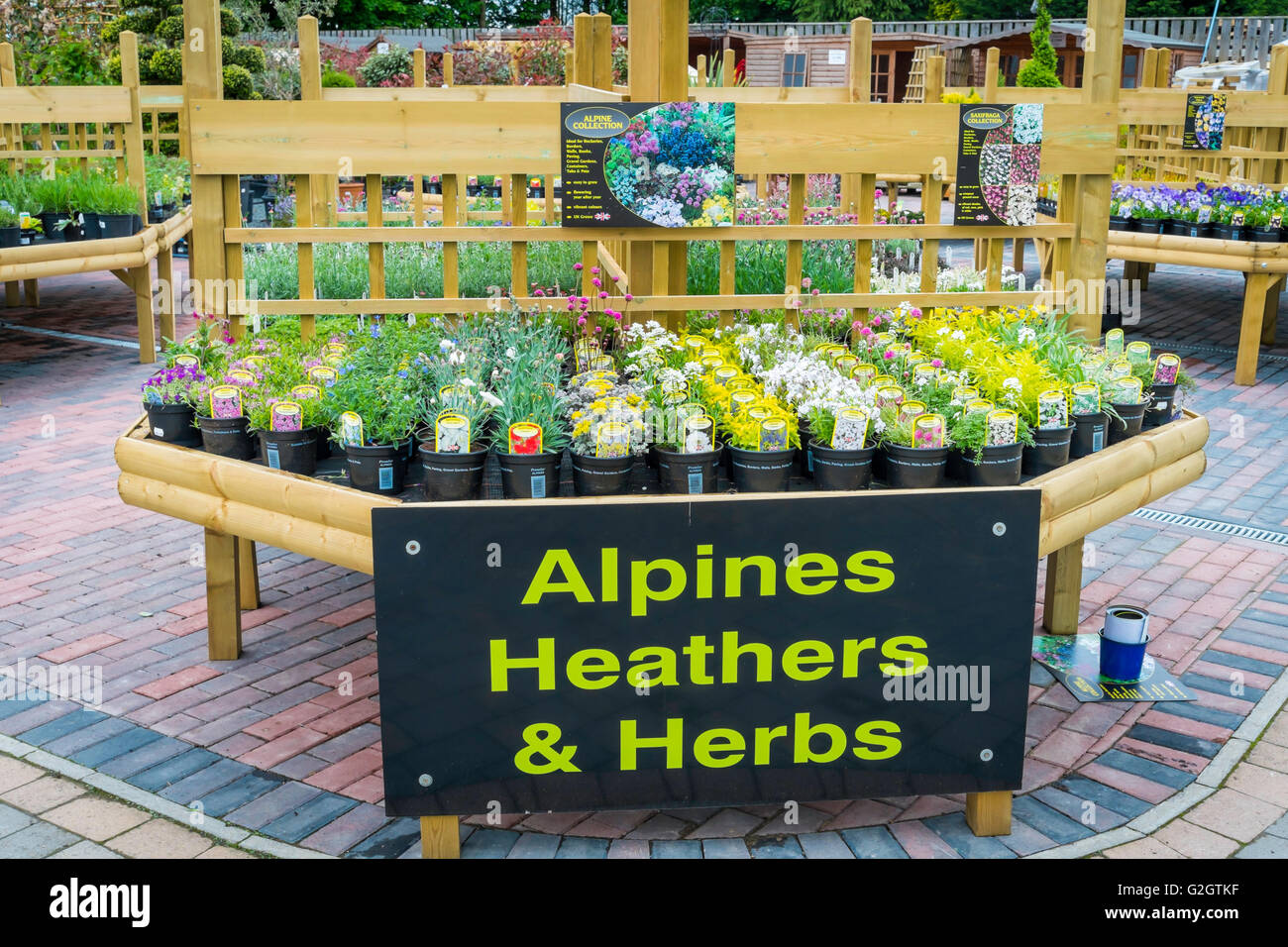 Herb plants hires stock photography and images Alamy