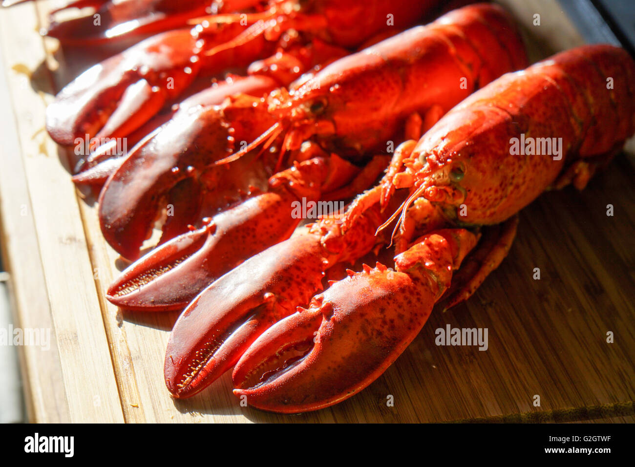Cooked red Lobsters served on white plate ready for eating Stock Photo