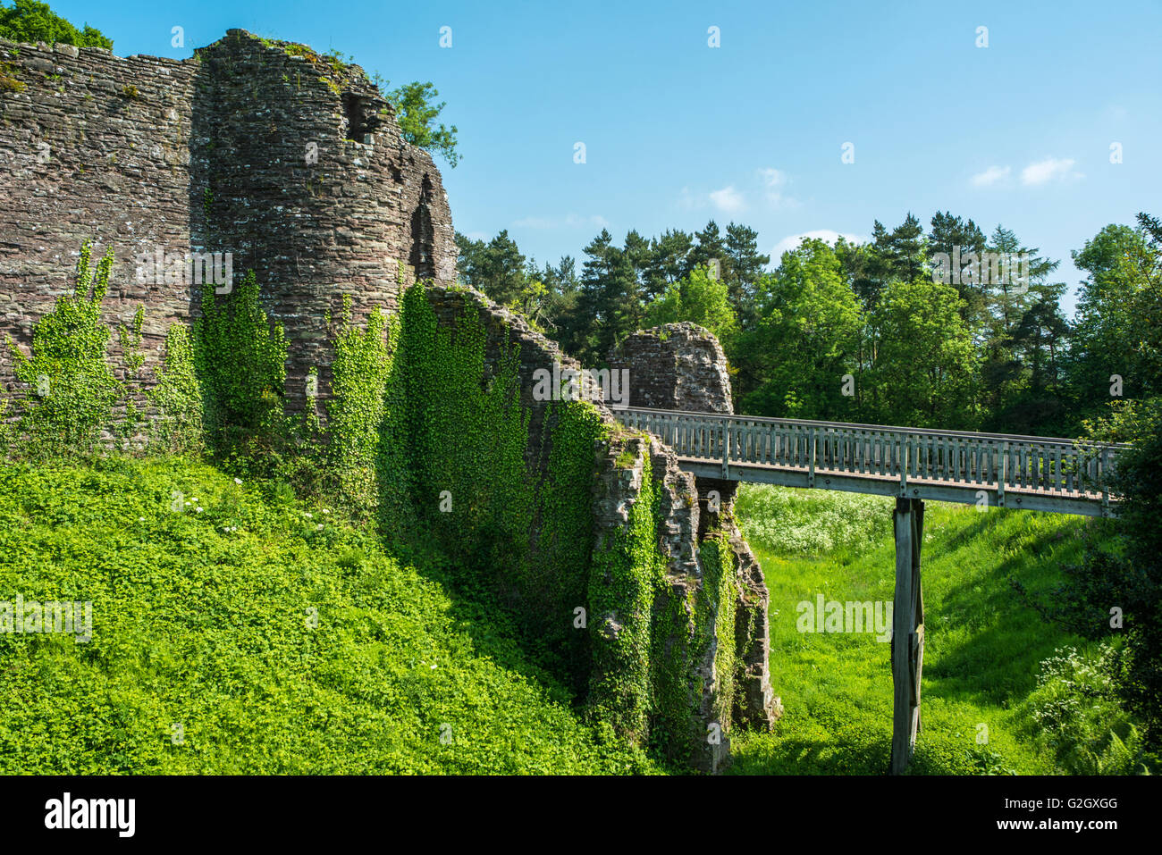 The picturesque ruins of a small castle on a bright summer day. Stock Photo