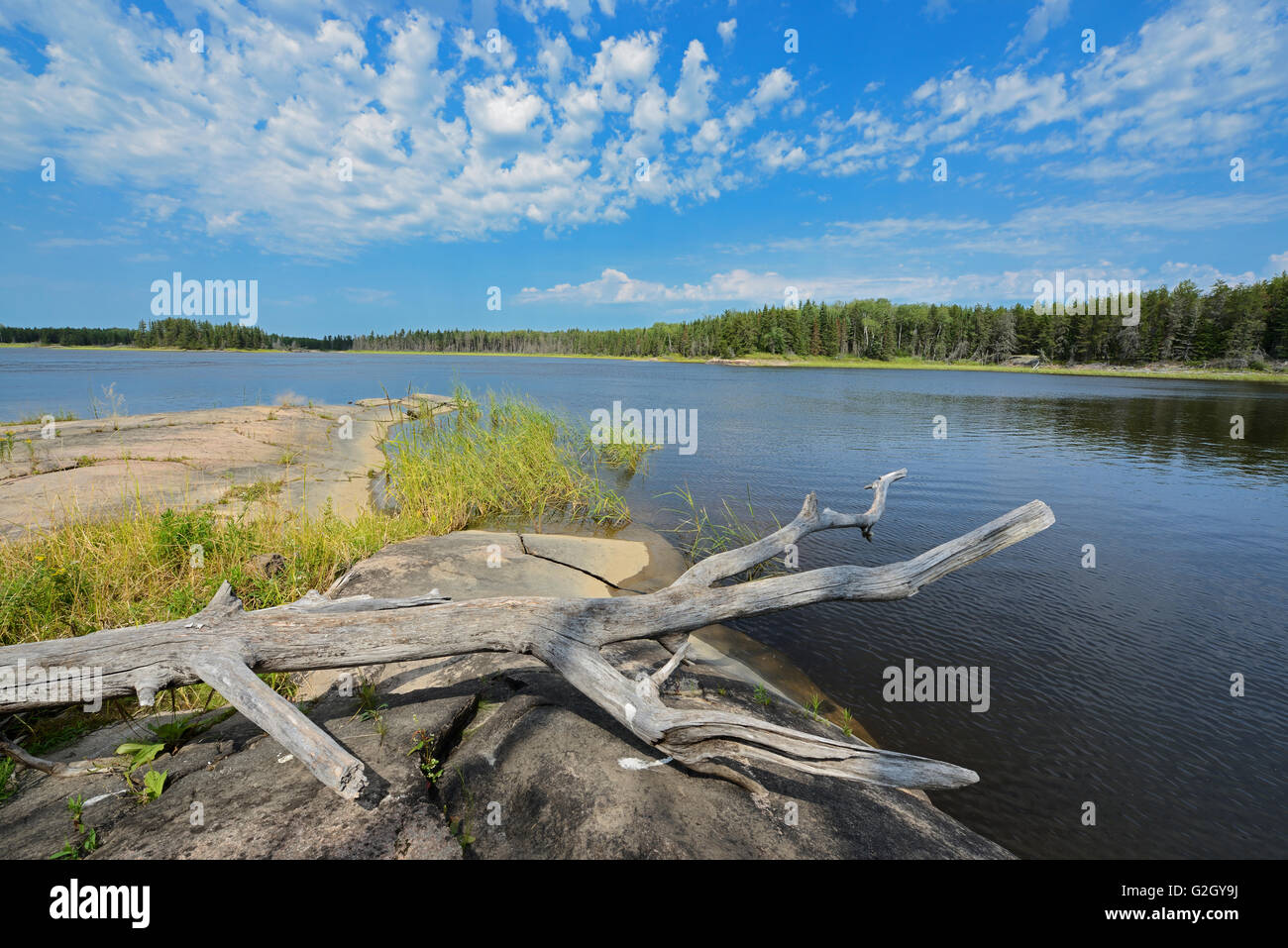 Driftwood along the Bloodvein River Bloodvein Manitoba Canada Stock Photo