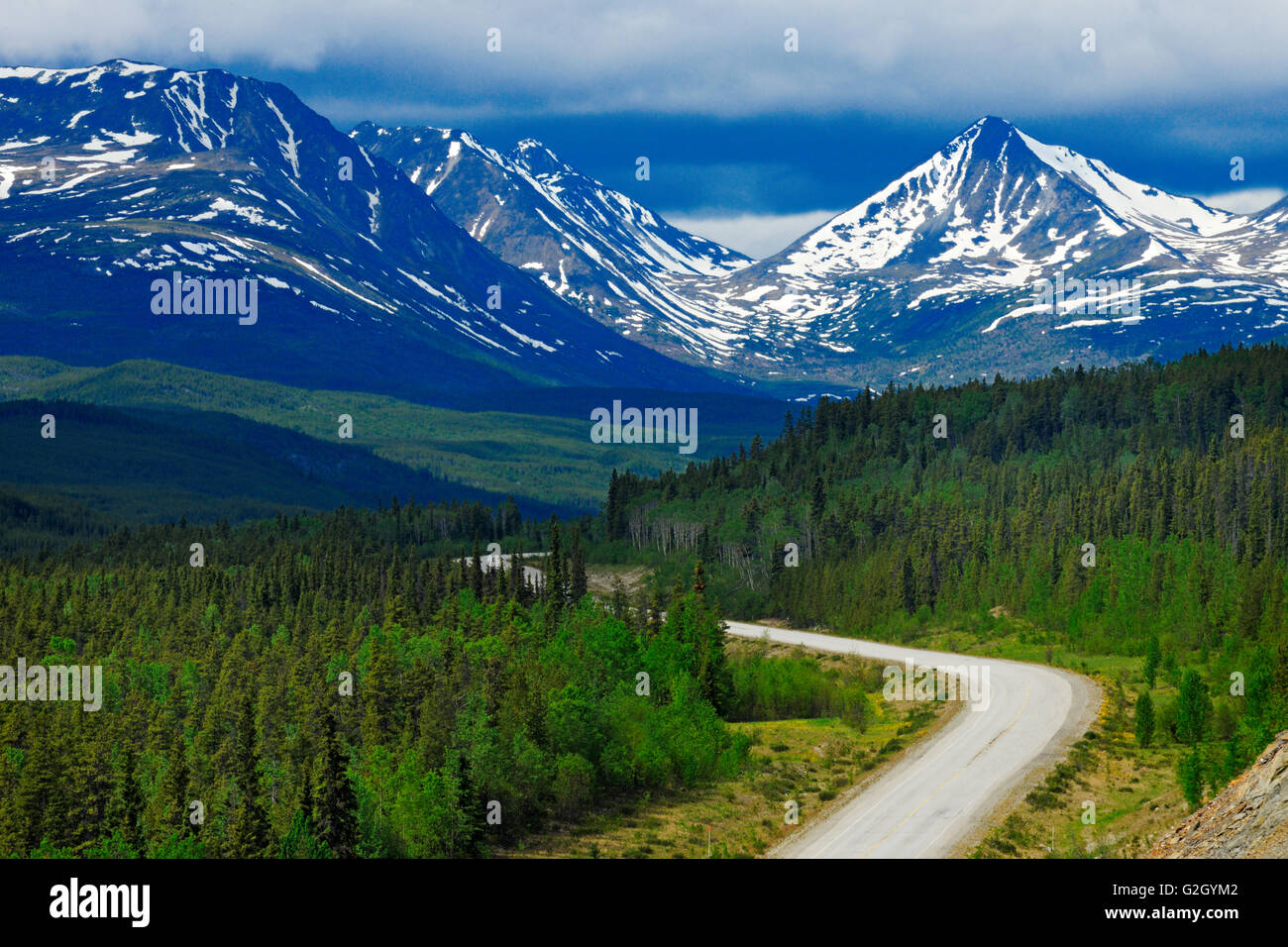 Cassiar Mountains along the Alaska Highway Near Watson Lake Yukon