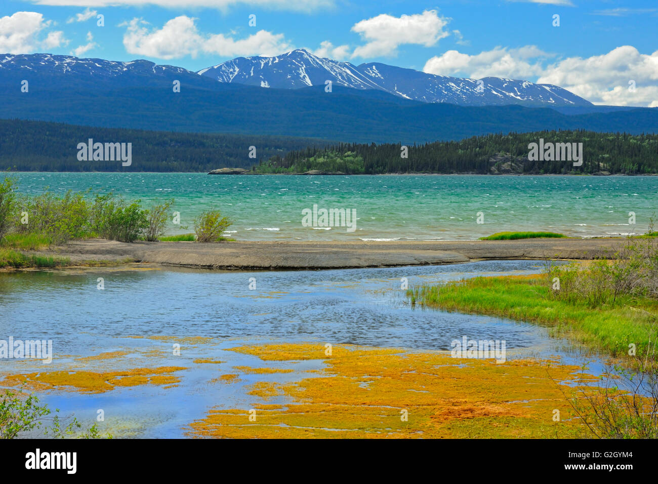 Marsh Lake, a widening of the Yukon River on the Alaska Highway near