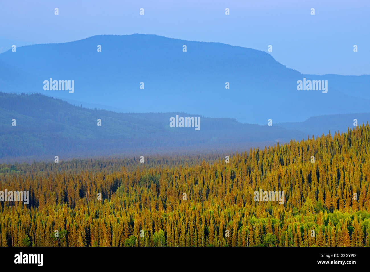 Stikine Valley and the Coast Mountains on the Stewart-Cassiar Highway  Stewart-Cassiar Highway British Columbia Canada Stock Photo