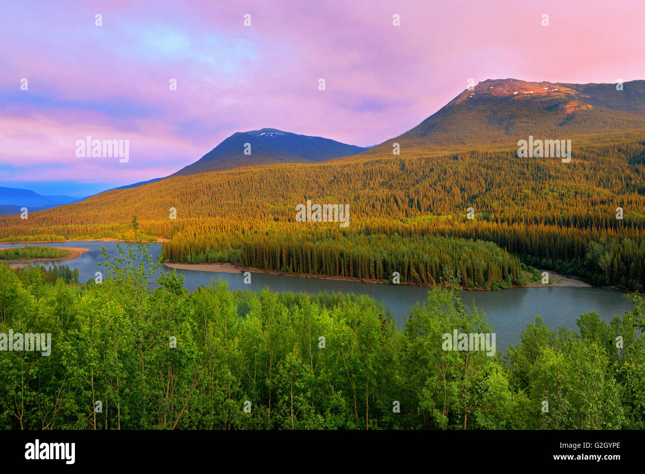 Stikine Valley and Coast Mountains Stewart Cassiar Highway British Columbia Canada Stock Photo