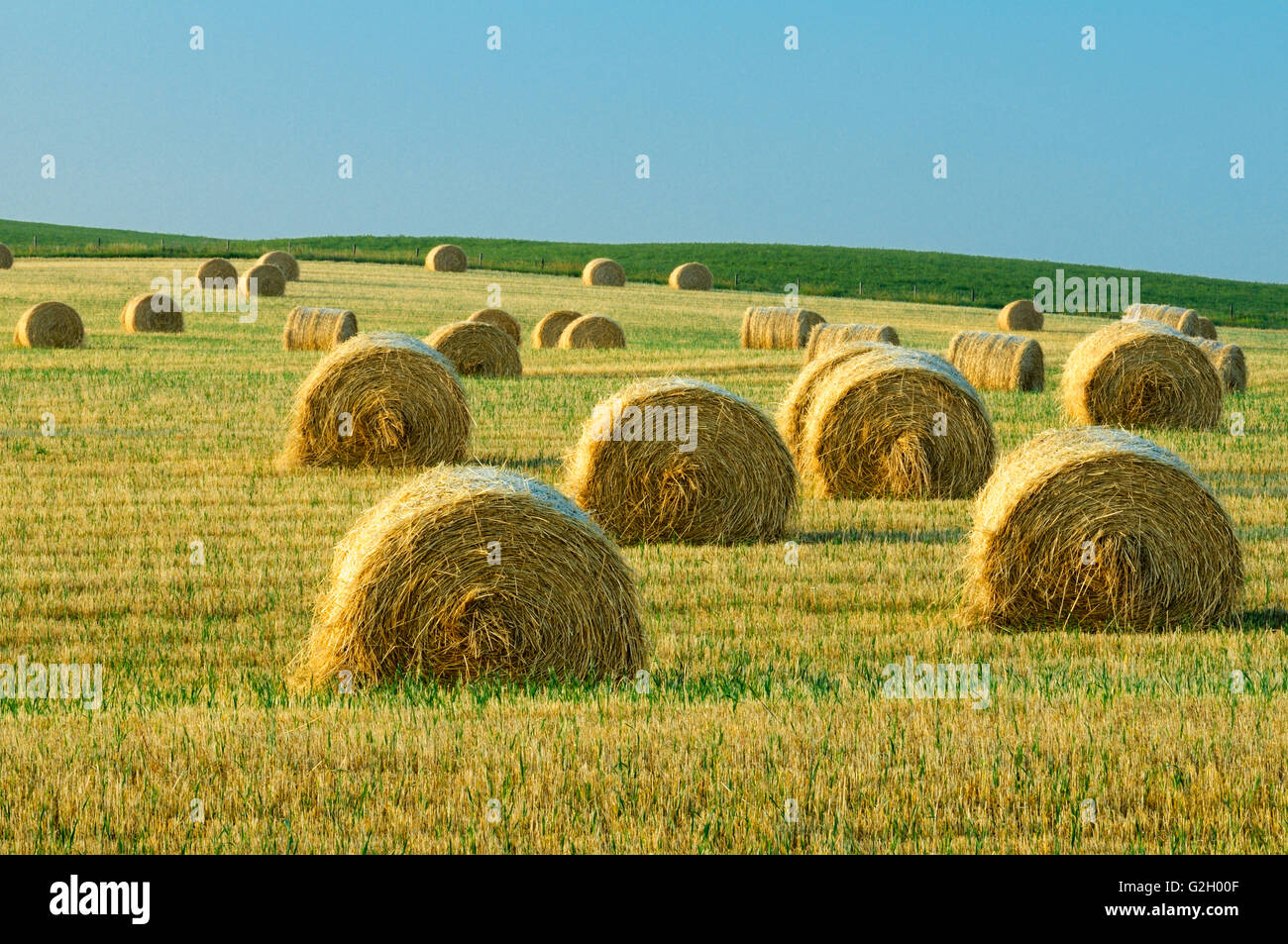 Huxley alberta hires stock photography and images Alamy