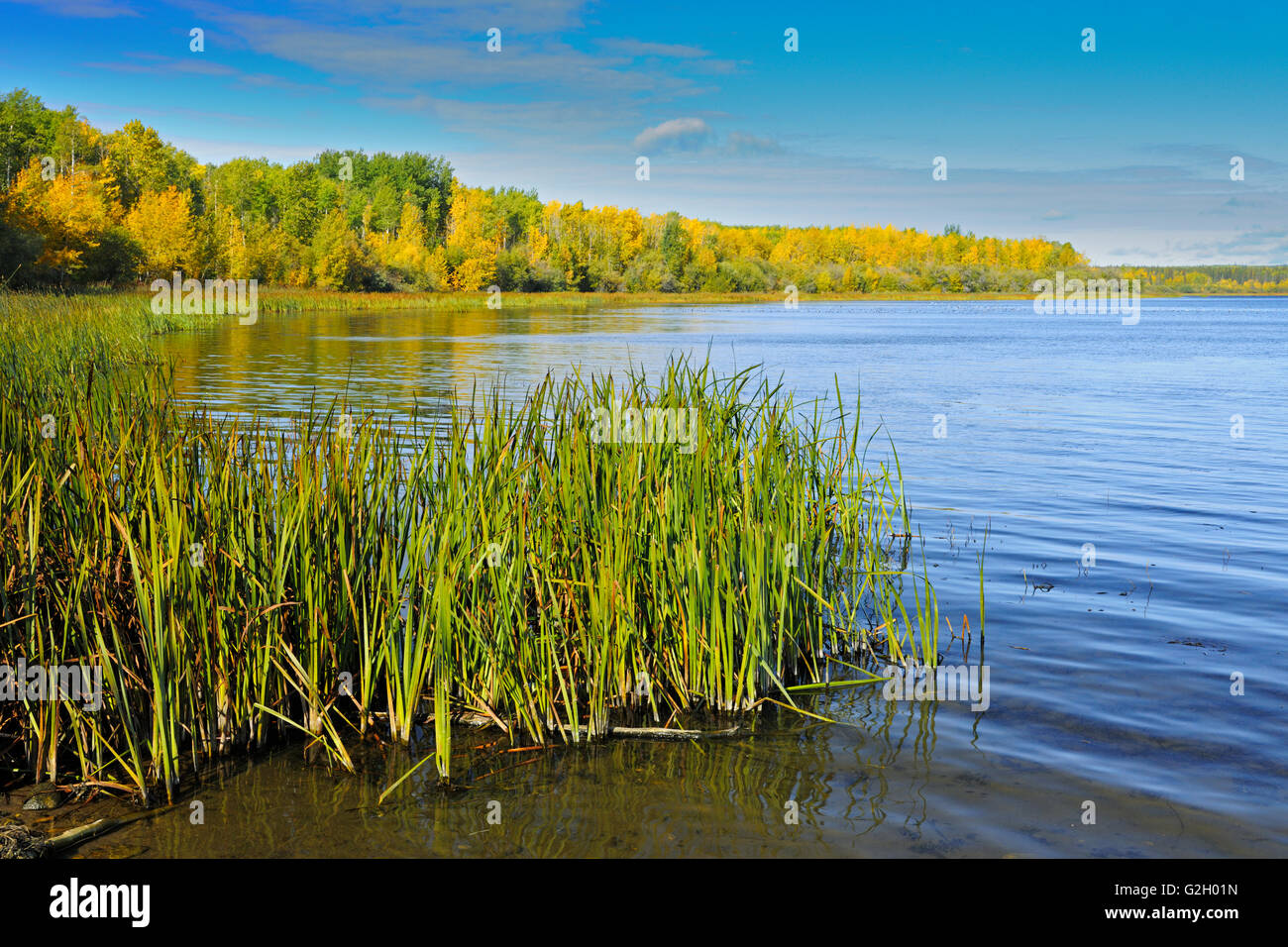 Sturgeon Lake Alberta Canada Stock Photo Alamy