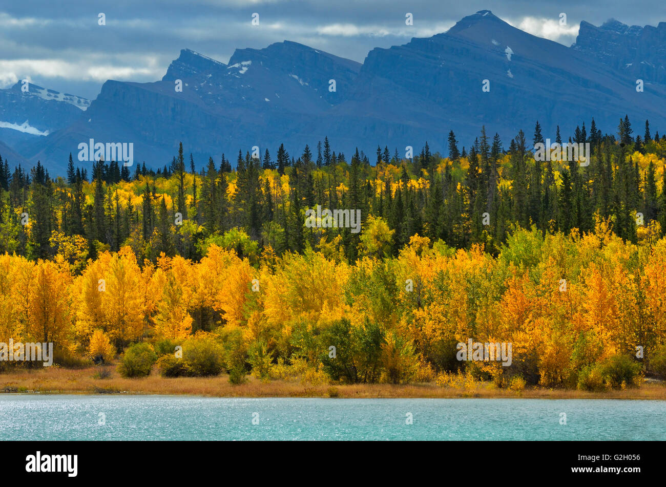 Canadian Rockies and Abraham Lake in autumn David Thompson Hwy Alberta Canada Stock Photo