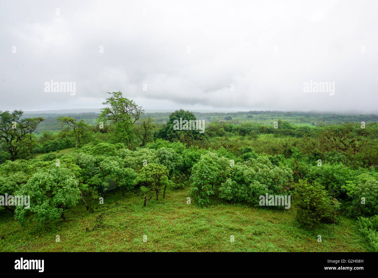 Galapagos landscapes hi-res stock photography and images - Alamy