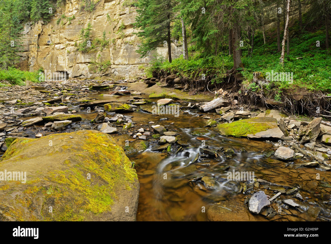 Hard Luck Canyon Whitecourt Alberta Canada Stock Photo Alamy