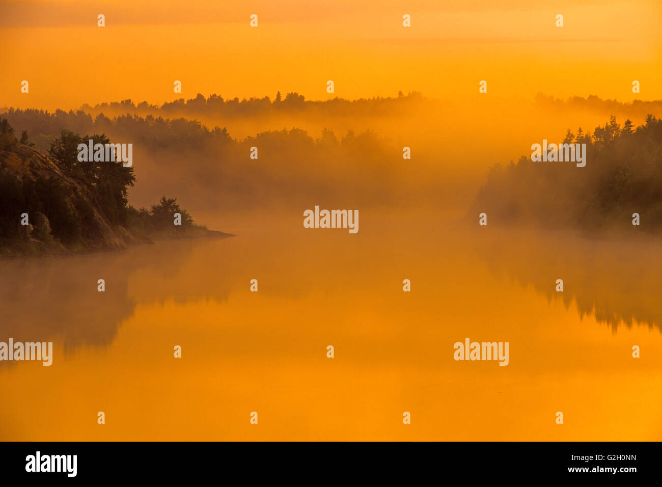 Trees in morning fog Burwash Ontario Canada Stock Photo Alamy