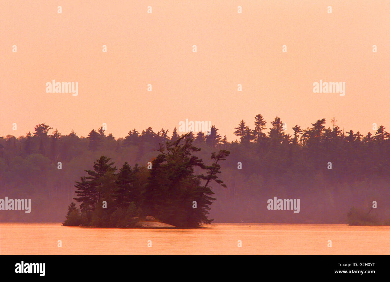 Trees on island in Lake of the  Woods at sunset Sioux Narrows Provincial Park Ontario Canada Stock Photo