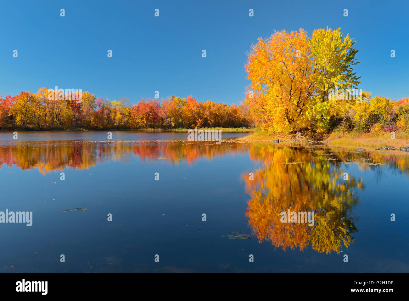 Vermilion River reflection in autumn Near Naughton Ontario Canada Stock Photo