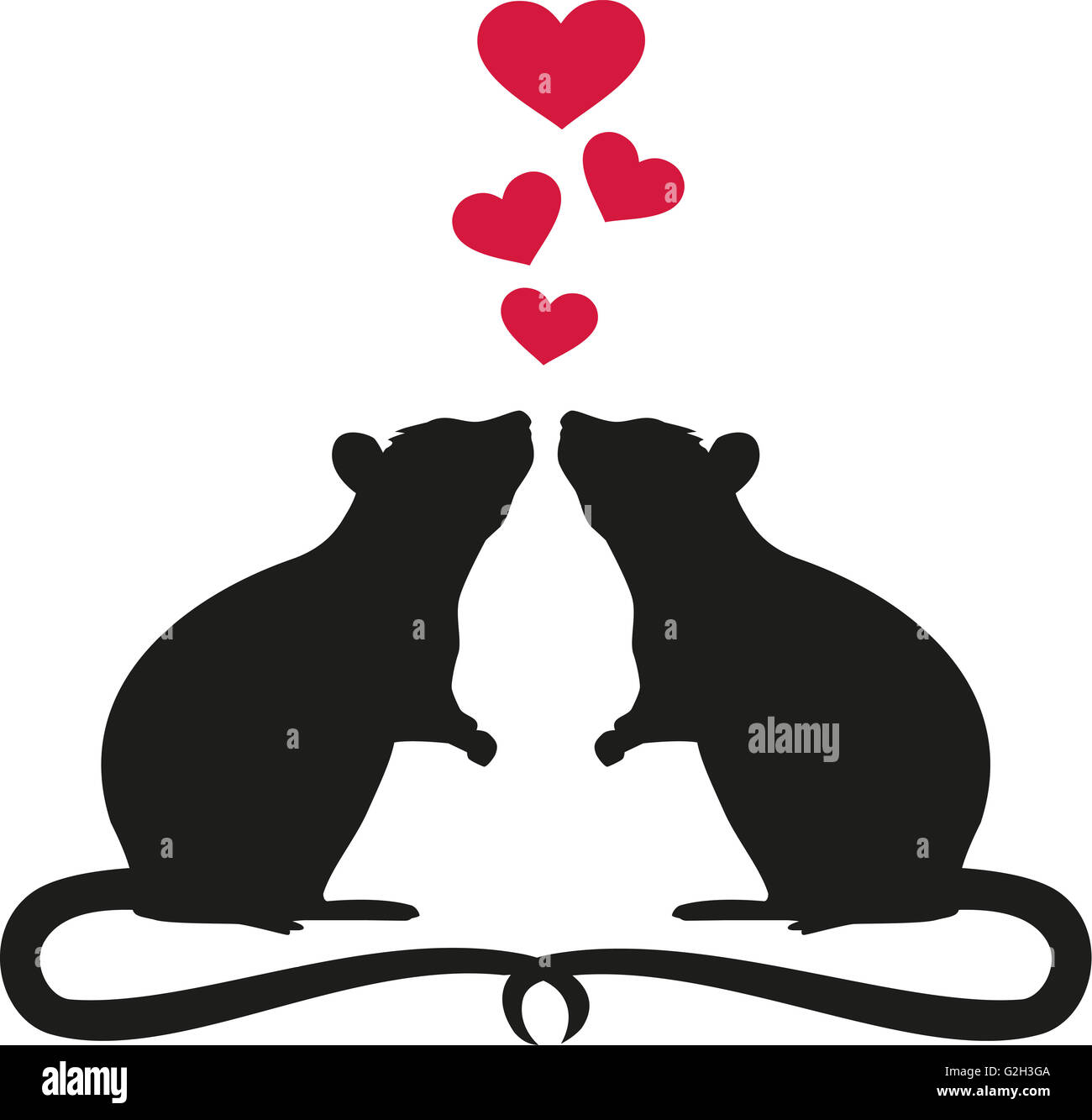 Love rat hi-res stock photography and images - Alamy Love rat hi-res stock photography and images - Alamy