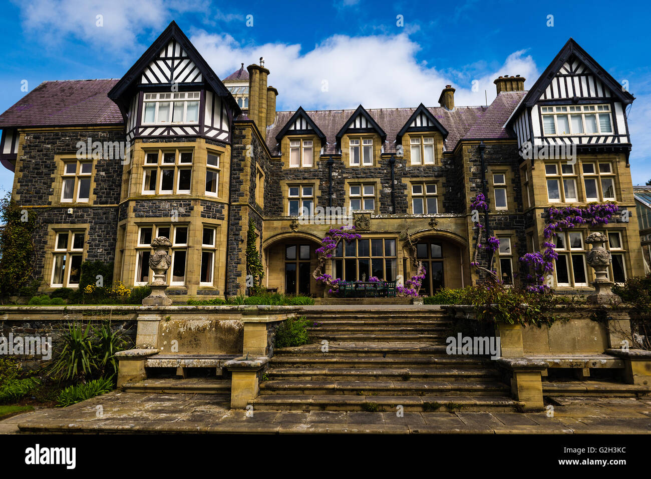A beautiful Mansion with Purple Creeper plants growing on the face of the property. Stock Photo