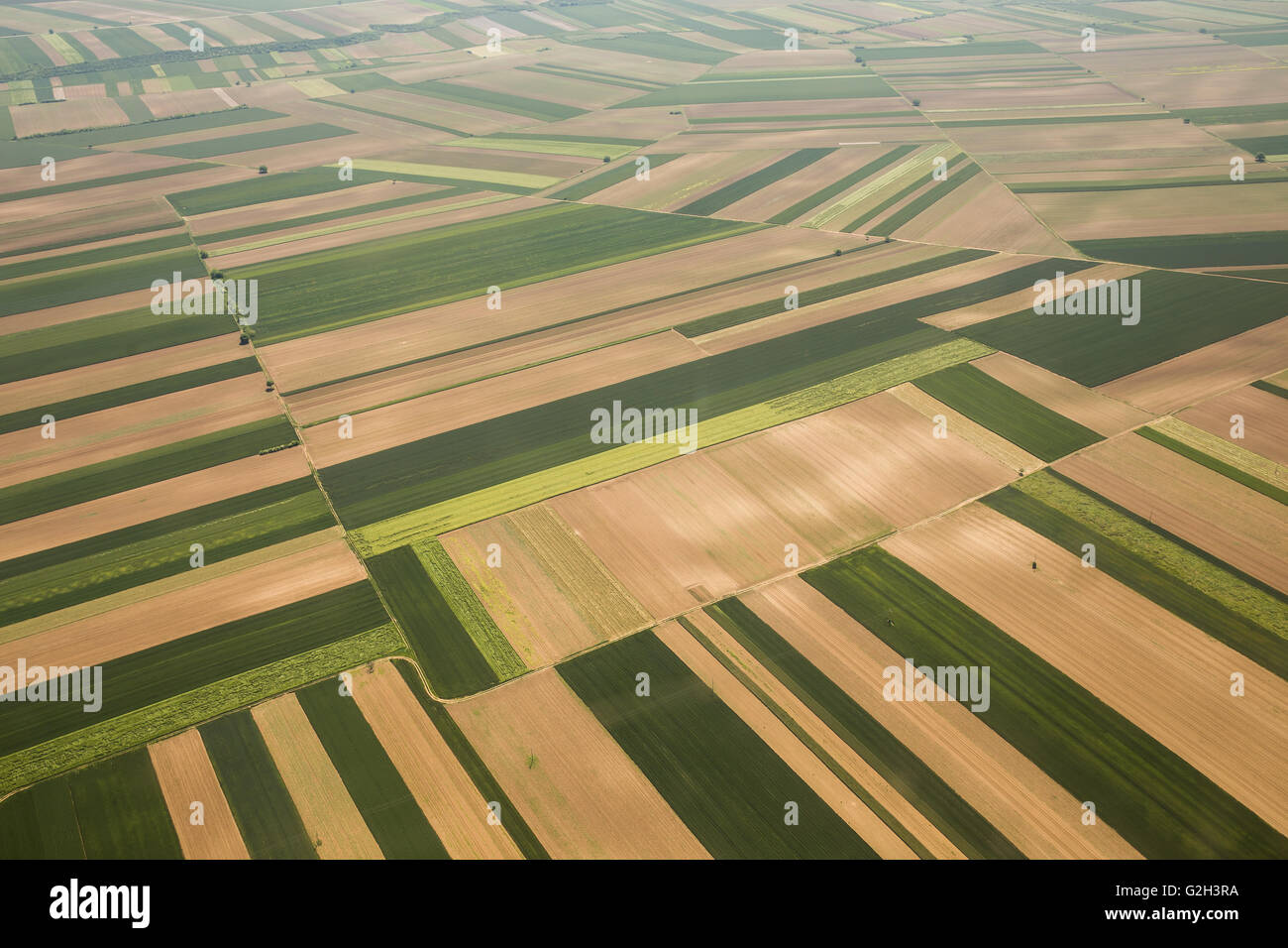 Arable land aerial photography in Vojvodina, Serbia Stock Photo