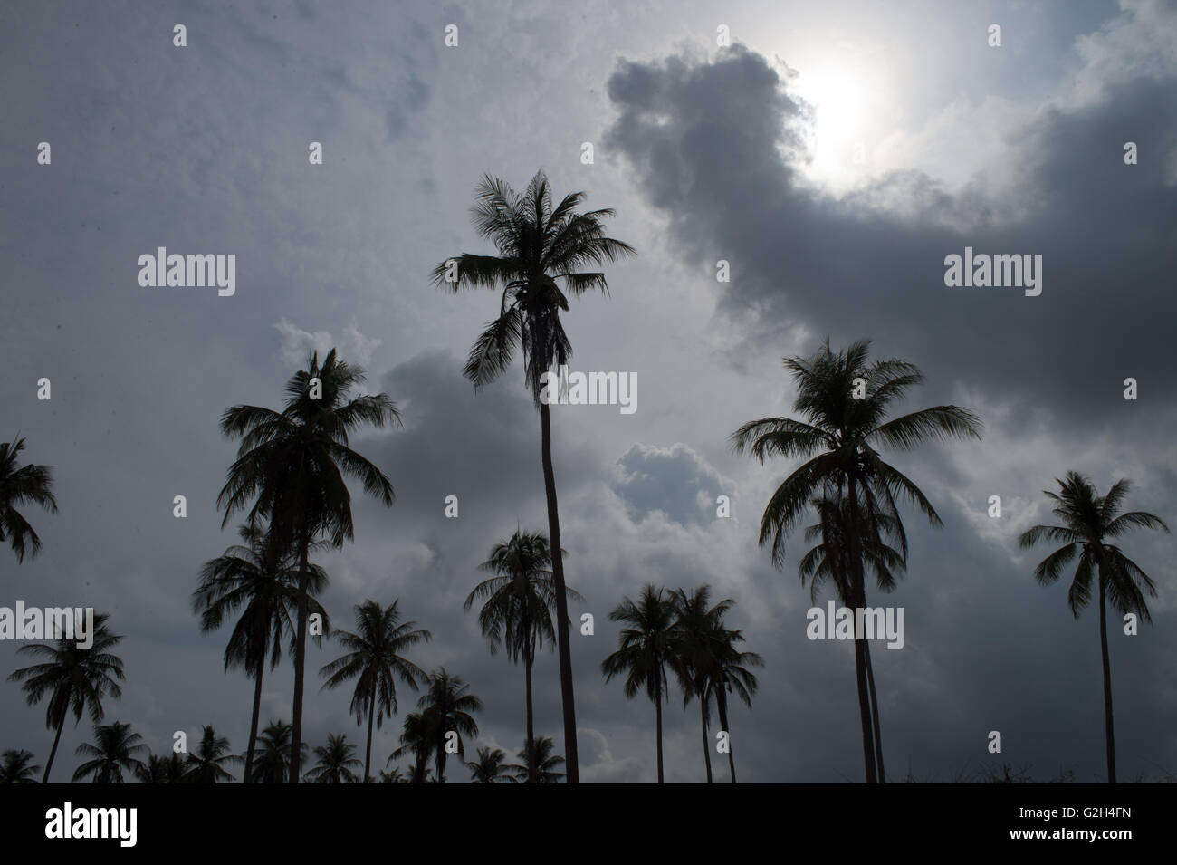 Amazing tropical beach in thailand hi-res stock photography and images ...
