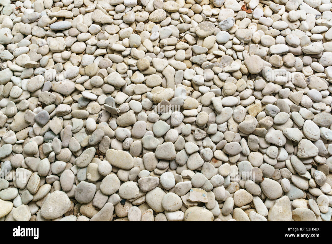 White smooth stones  shot from above for Background. Stock Photo