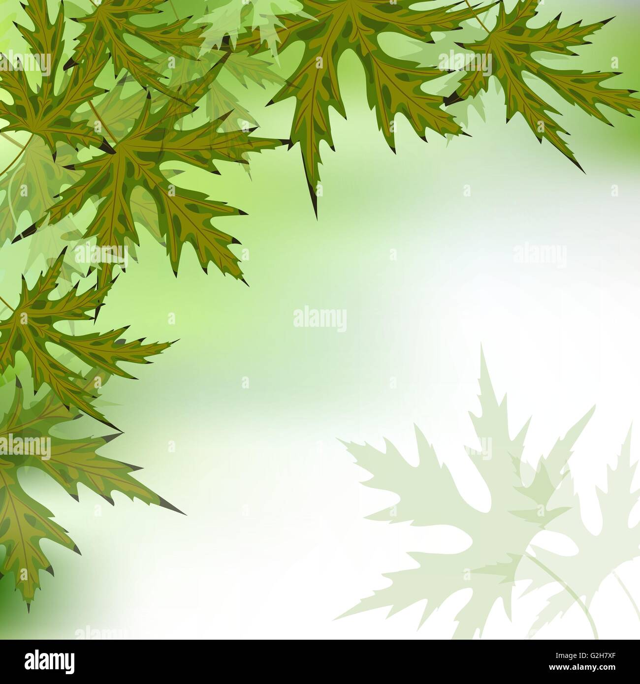 Nature background with green leaves Stock Vector Image & Art - Alamy