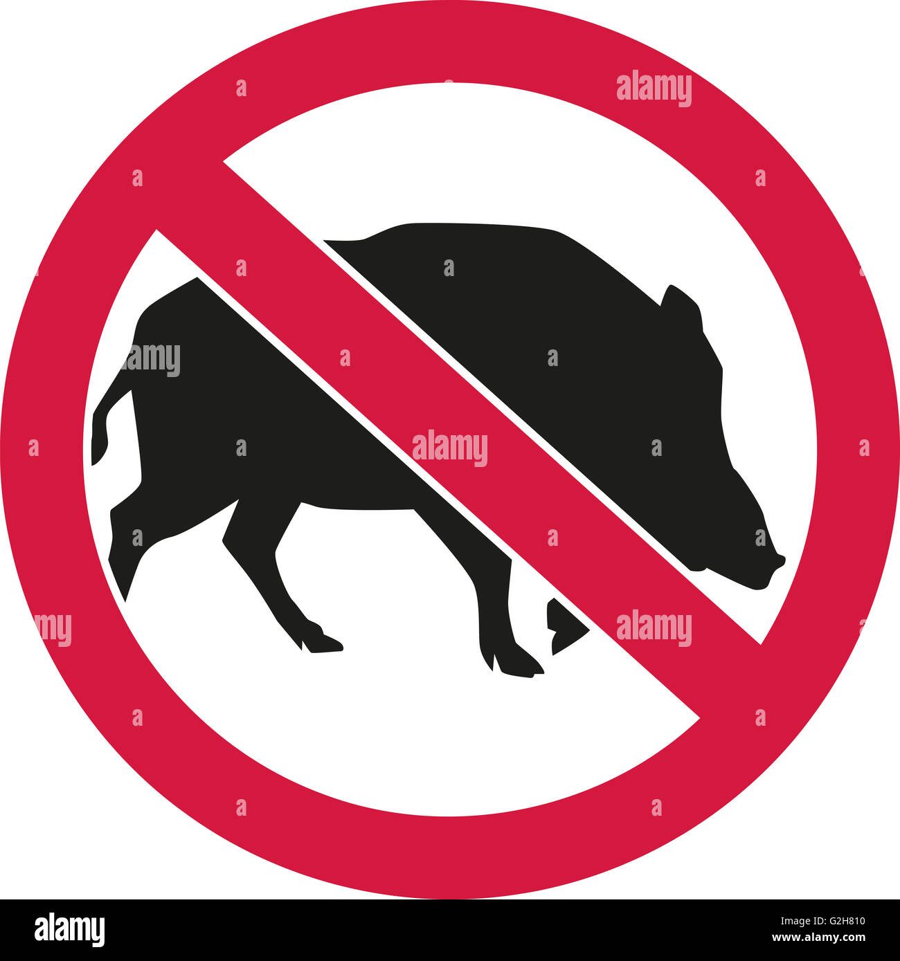 Wild pigs forbidden Stock Photo