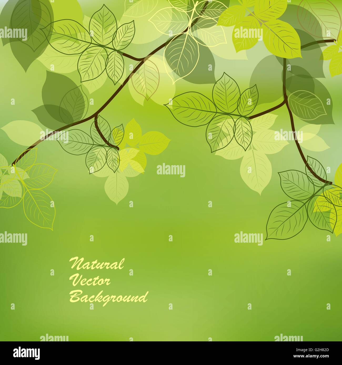 Nature background with green leaves Stock Vector Image & Art - Alamy