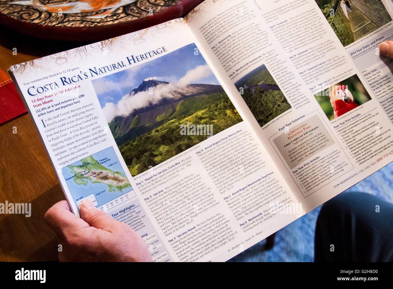 Man looking at travel brochure for Costa Rica, dreaming of a vacation there Stock Photo