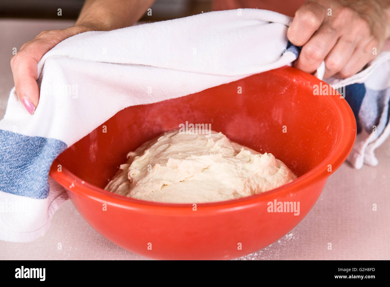 Woman covering a bowl of Naan bread dough with a damp cloth, prior to it rising in a warm place until doubled in bulk Stock Photo