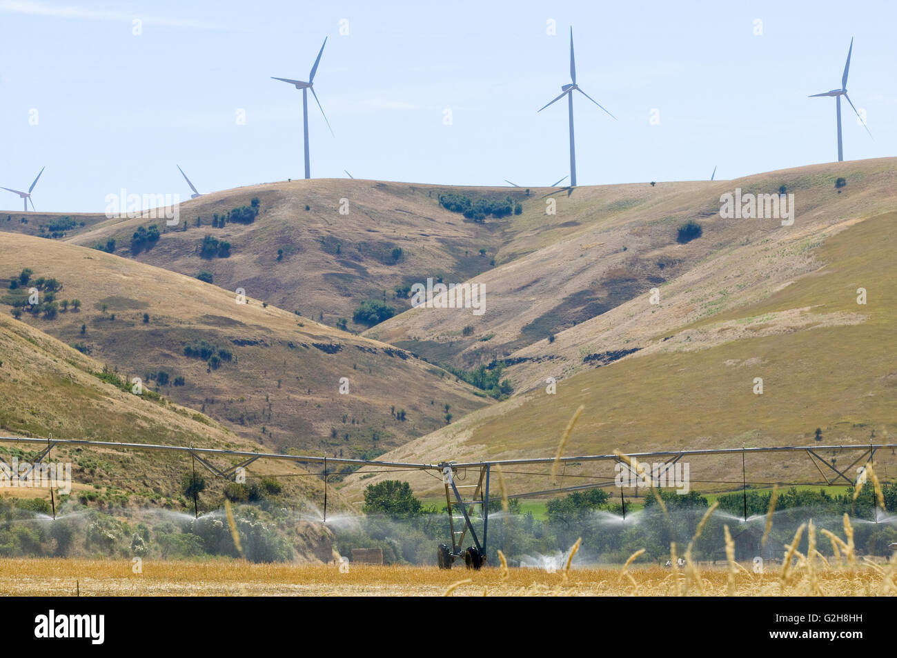 Wind turbines on top of hill, with rolling irrigation system watering field in eastern Washington near Clarkston Stock Photo
