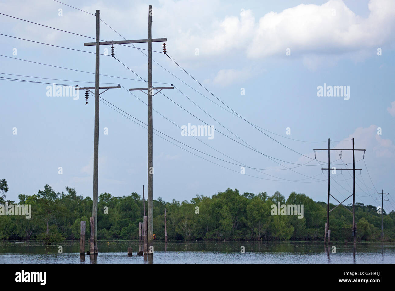 Power lines crossing Atchafalaya Swamp, the largest wetland in the
