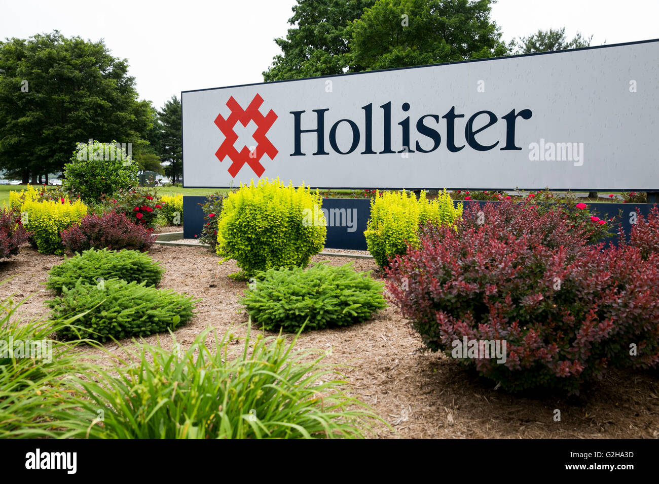 Hollister incorporated logo hotsell