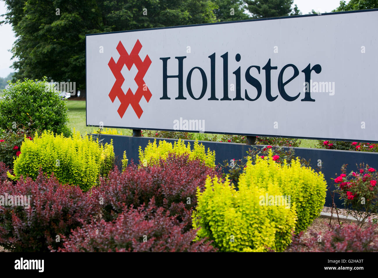 Hollister incorporated canada cheap