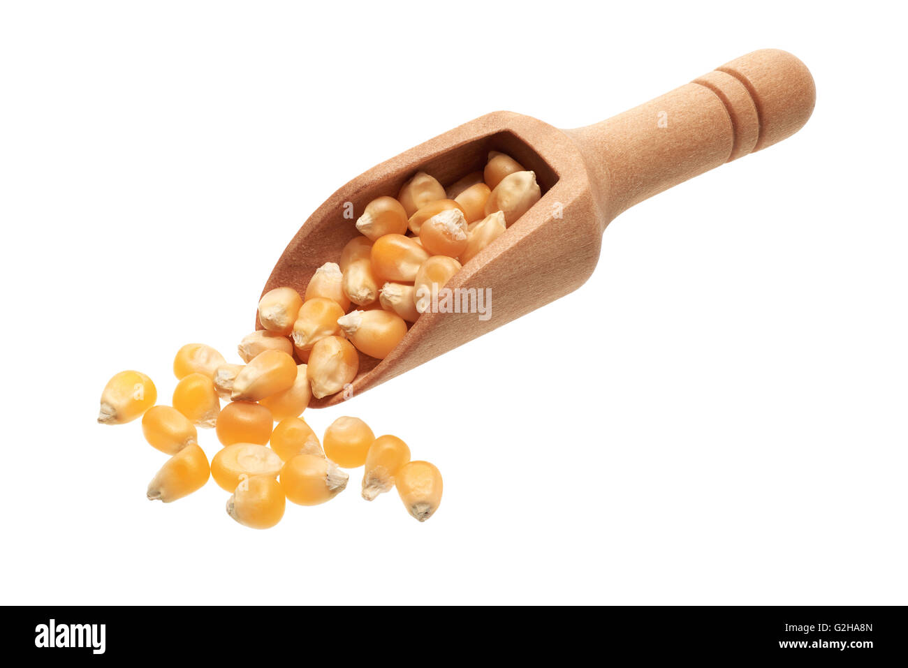 Food ingredients: heap of dried corn seeds in a wooden scoop, on white background Stock Photo