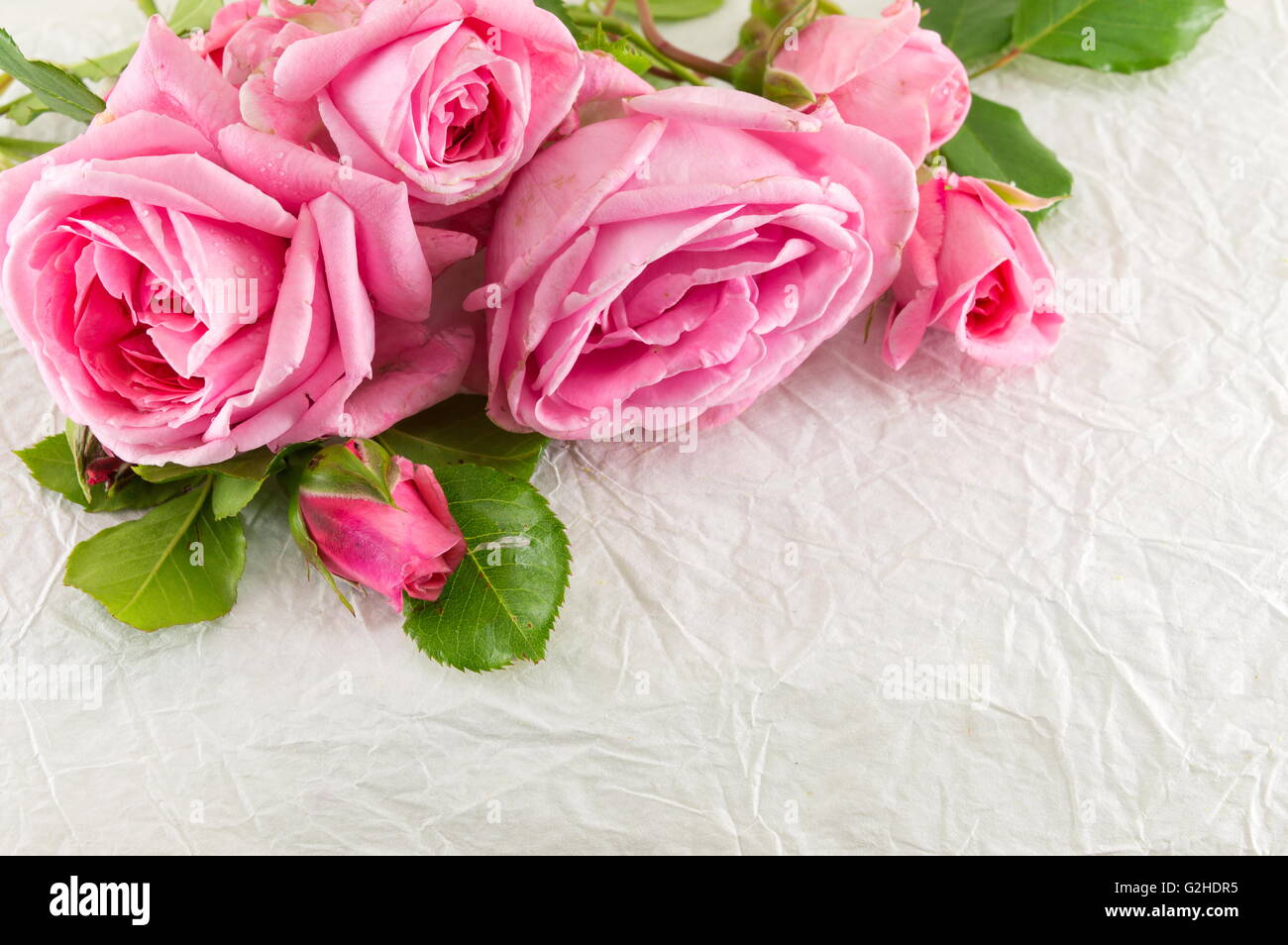 Pink roses bouquet on white silk textile Stock Photo Alamy