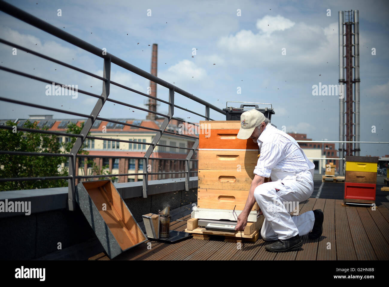 Berlin, Germany. 31st May, 2016. Beekeeper Josef Rainhard, instructor of the Beekeeper Association Langstroth, photographed at the Training Centre for Beekeepers in Berlin, Germany, 31 May 2016. PHOTO: BRITTA PEDERSEN/dpa/Alamy Live News Stock Photo