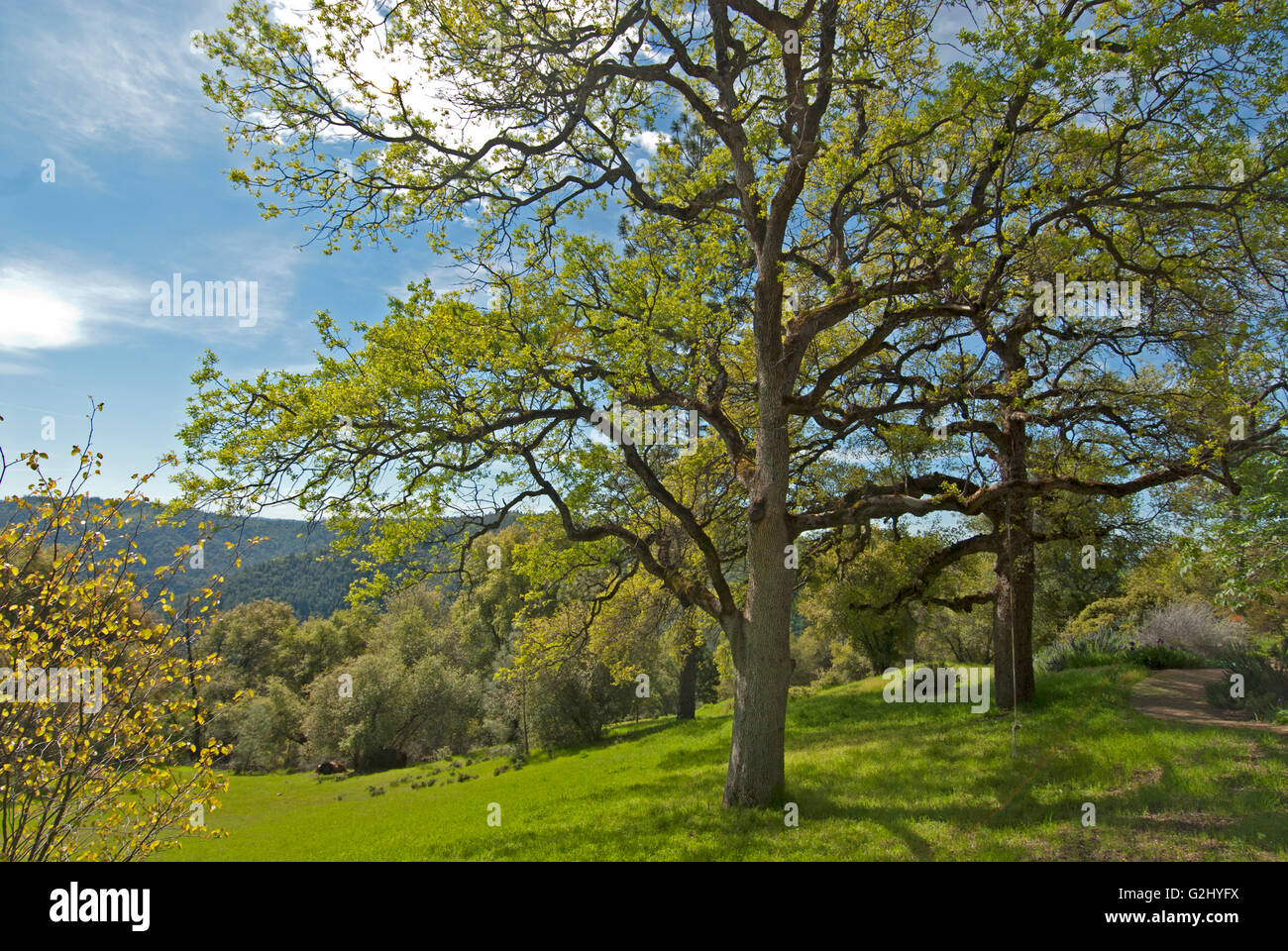 El Dorado Hills Ca Usa Nov Stock Photo 763854844