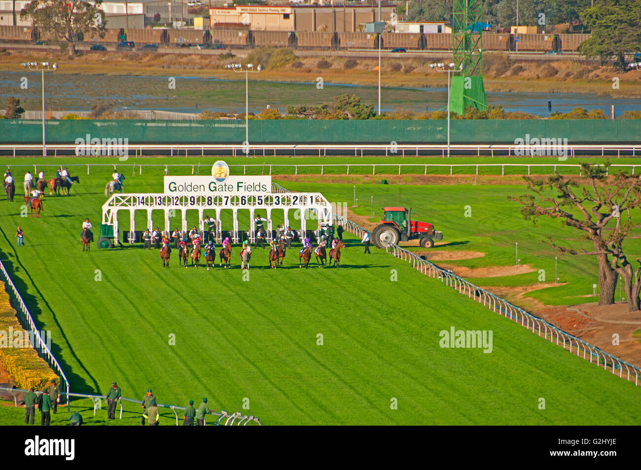 Horses leaving the starting gate at Golden Gate Fields, Albany, California Stock Photo
